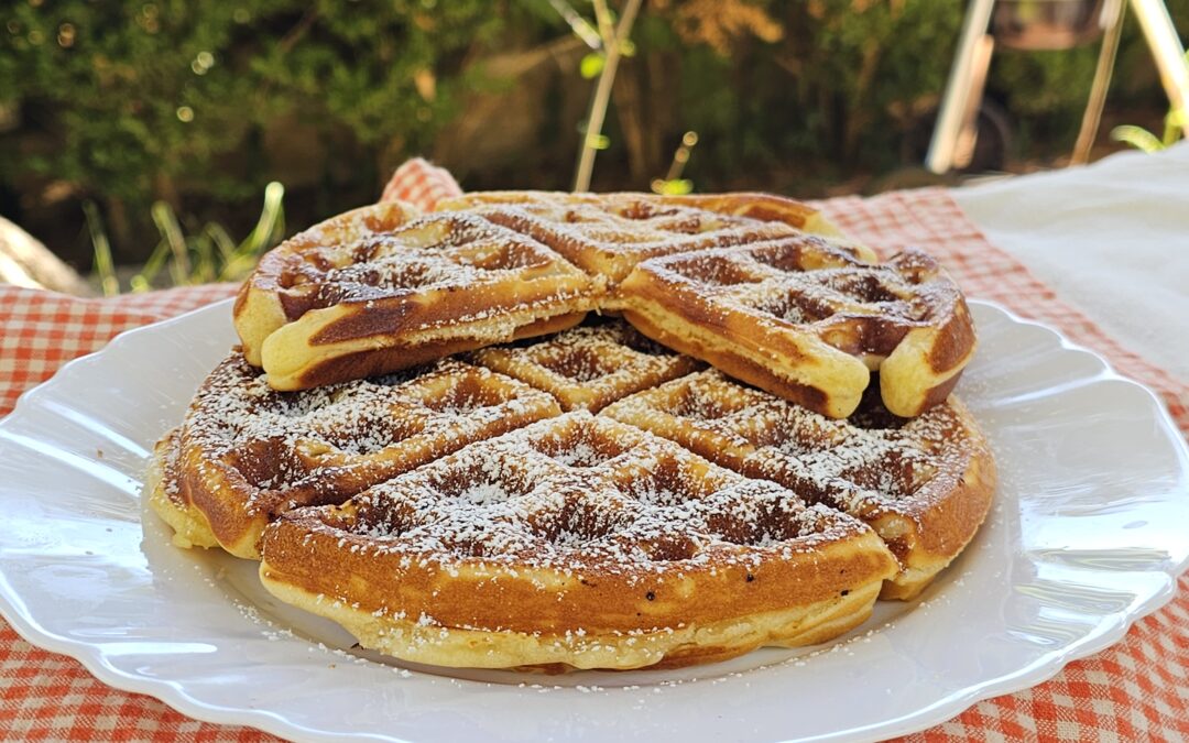 Waffle con yogurt greco