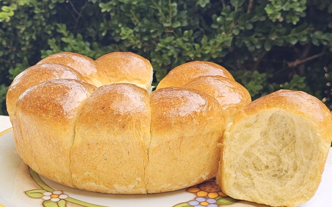 Pan brioche all’olio evo