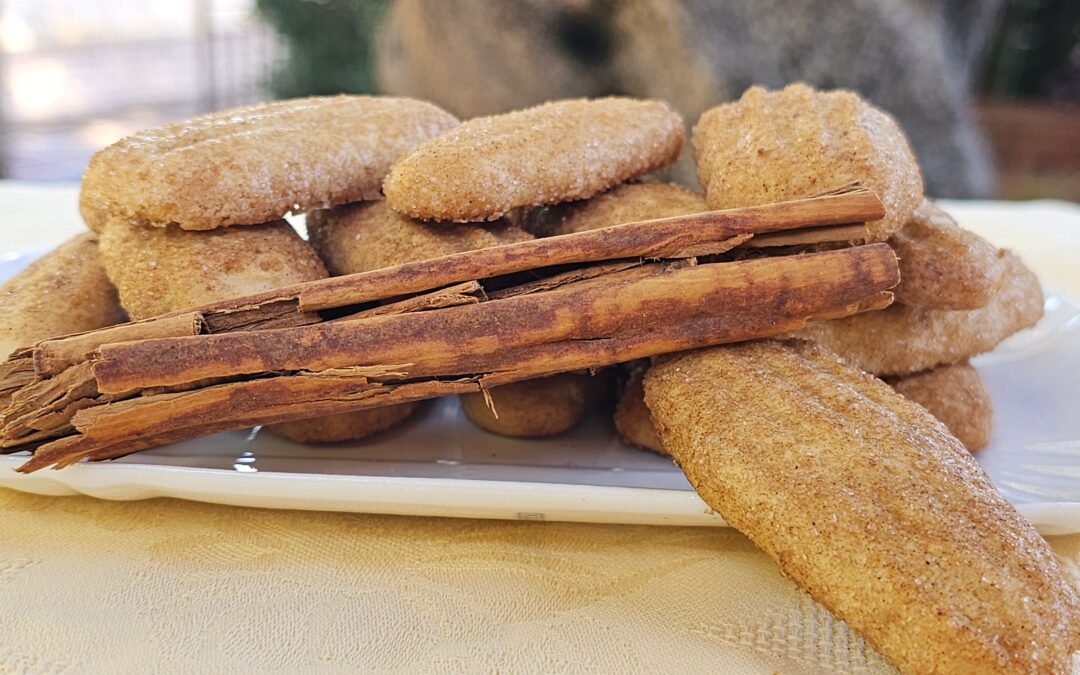 Biscotti alla cannella con frolla all’olio