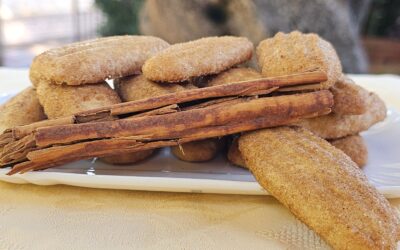 Biscotti alla cannella con frolla all’olio